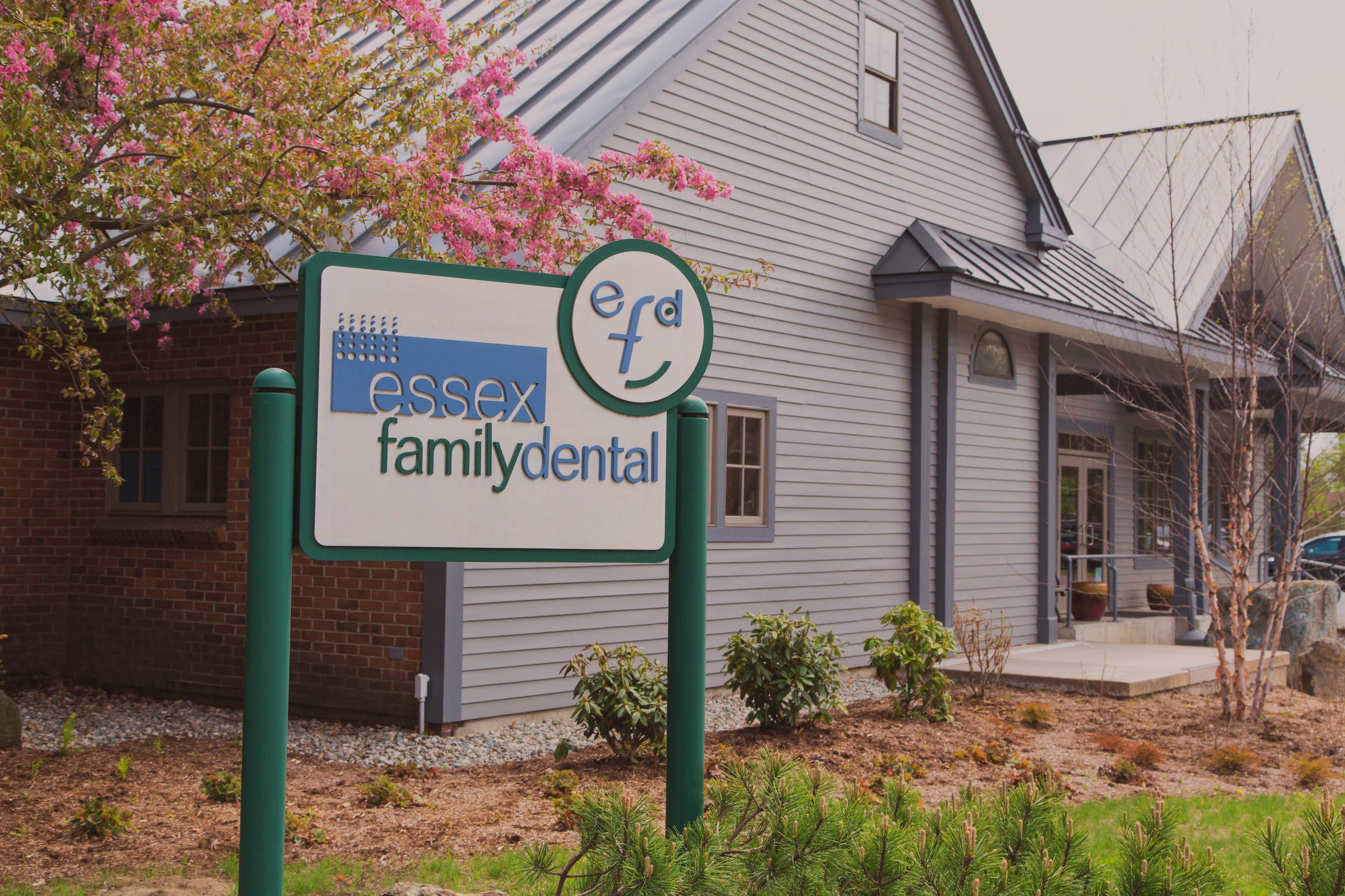 Essex Family Dental sign and welcoming building entrance framed by pink spring blossoms and evergreens